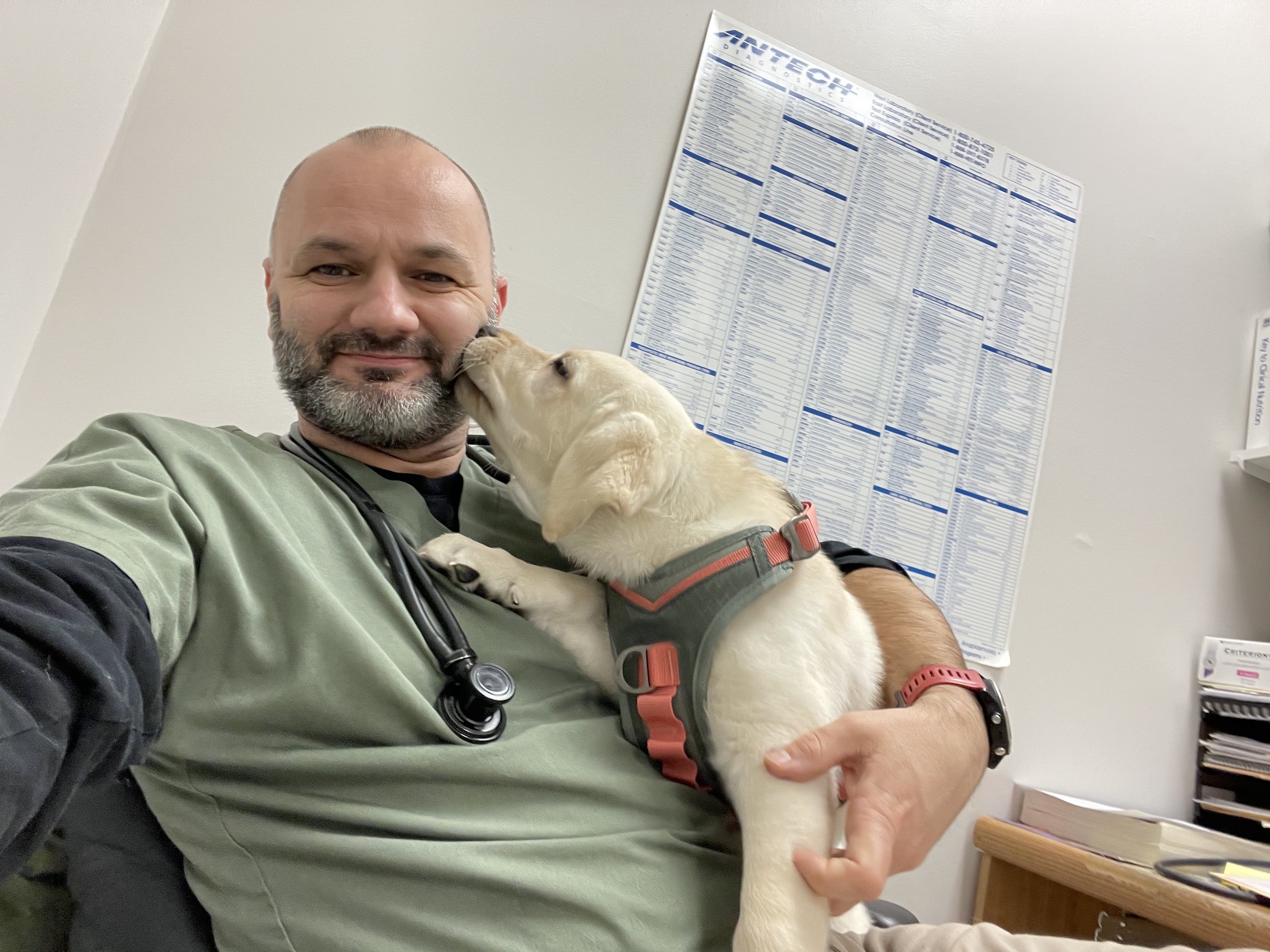 About Voorhees Corner Veterinary Clinic